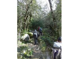 photo coins arrondis